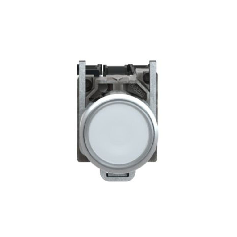 پوش باتون سفید با لامپ اشنایدر XB4BW31M5