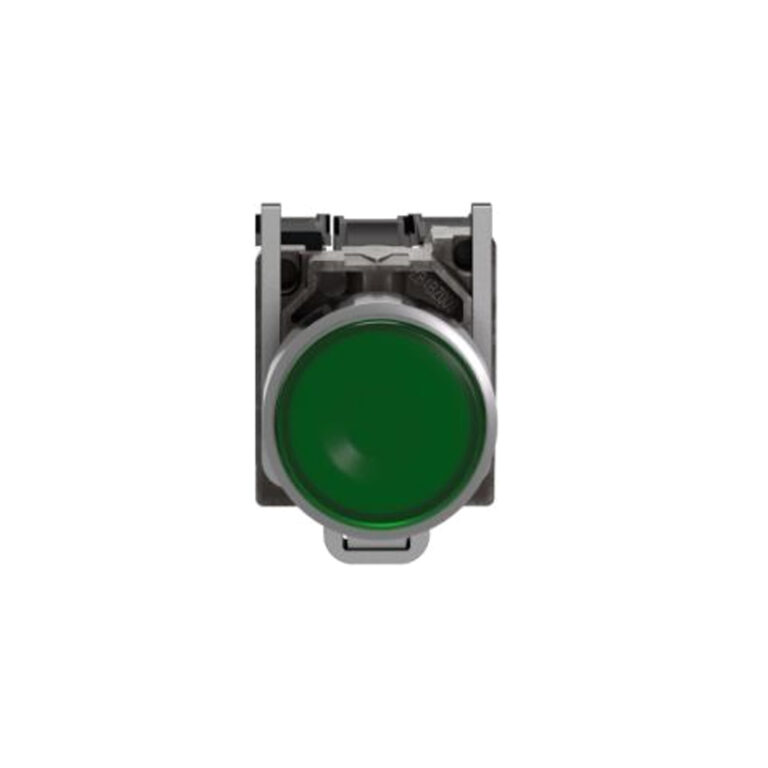 پوش باتون سبز با لامپ اشنایدر XB4BW33M5